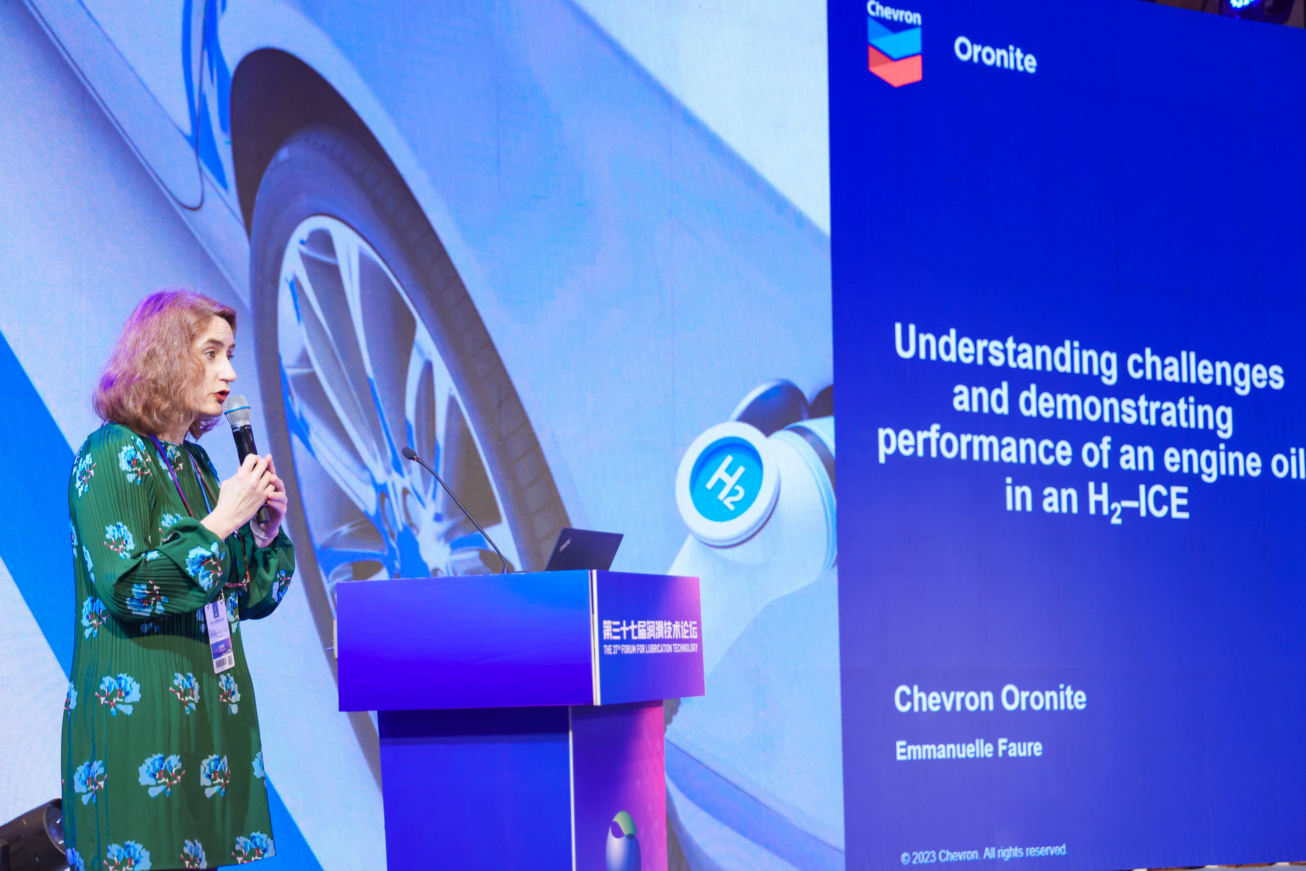 �������ǲ������������ʮ�߽���������̳(ͼ5)