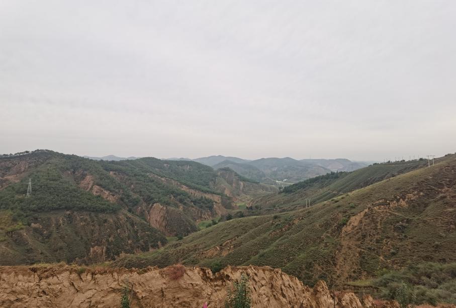 ��׼������ֵ���������ǲ����������������������Ч(ͼ1)